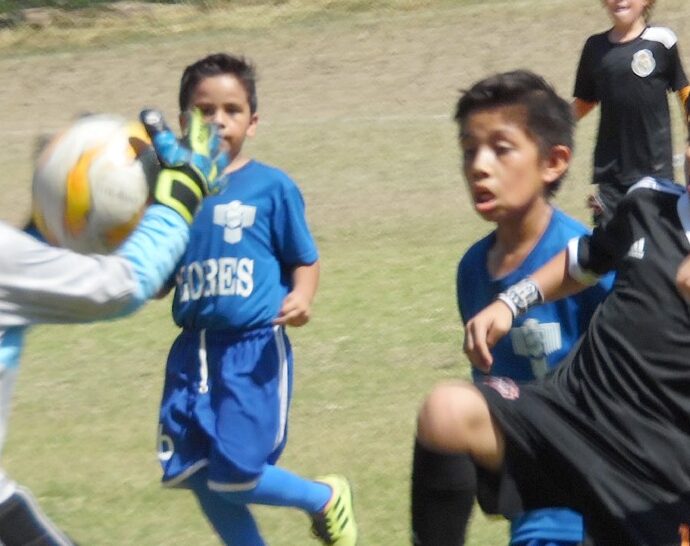 Anuncian la Copa CEDEREG / Foto: Cortesía