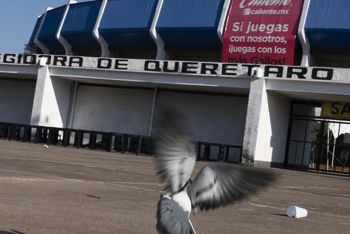 El estadio la Corregidora en Querétaro, el domingo 6 de marzo de 2022. El estadio fue escenario de una batalla campal de aficionados durante un partido de la liga mexicana entre Querétaro y Atlas. (AP Foto/Marco Ugarte)